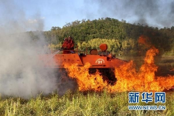 【動(dòng)畫】森林草原防火“十不準(zhǔn)”“五不燒”！這些安全知識(shí)要牢記